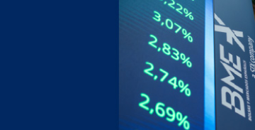 Informe de Mercado 2024