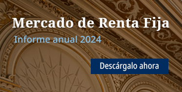 Informe Anual de Renta Fija 2024