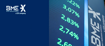 Informe de Mercado 2024